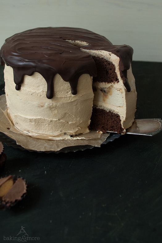 Cheesecake-Schokoladentorte mit Erdnuss und Karamell | baking &amp; more